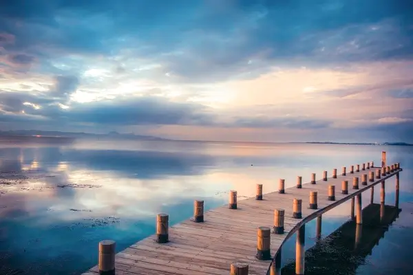 蟹肉煲哪里的美食